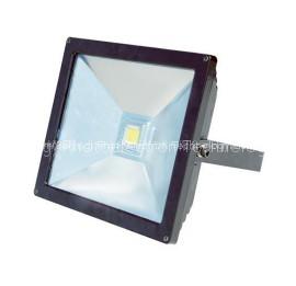 LED Floodlight RZF20/30/50