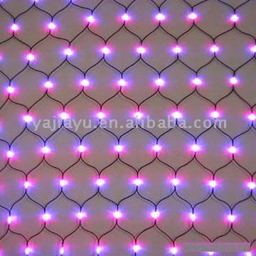 LED Net Lights