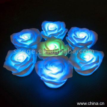 Flashing Bar Roses