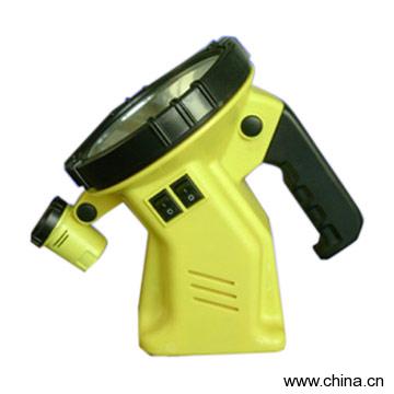 Spotlight with Twin-Switches