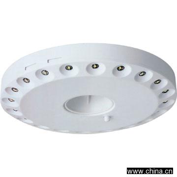 LED Tent Light (20 LEDs)