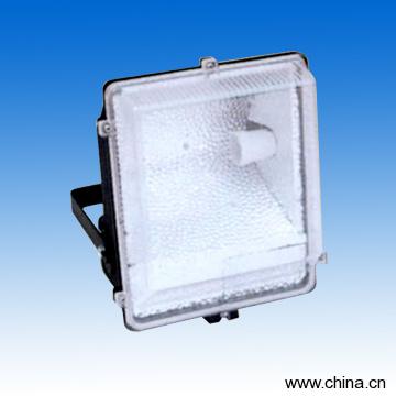 Plastic Flood Light