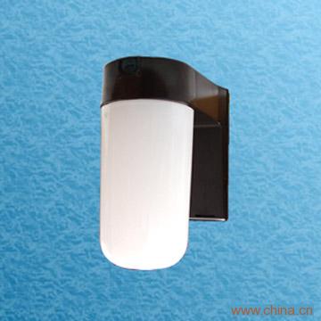 Security Light