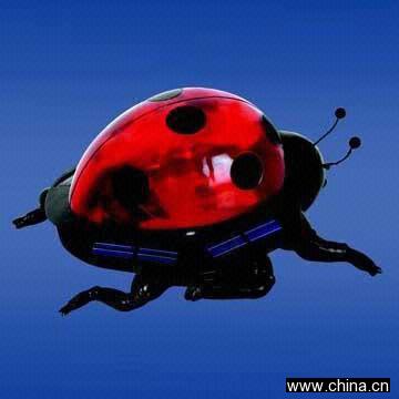 Solar Garden Light-Lady Bug