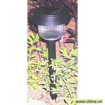 Solar Lawn Light