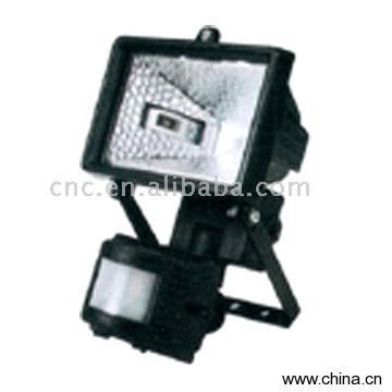 Spotlight (Focus Lamp)