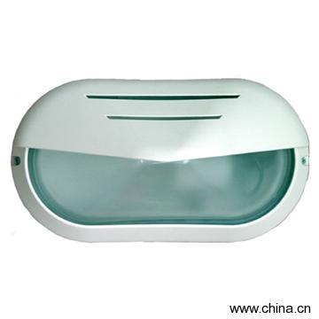 Plastic Wall Light