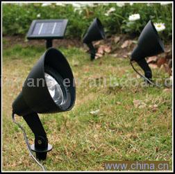 Solar Lights