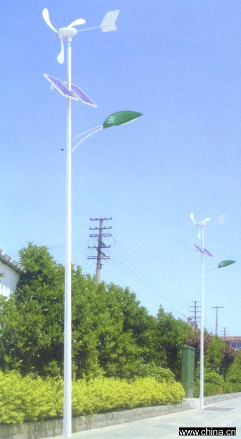 Solar Street Lighting
