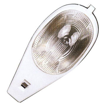 Roadway Light