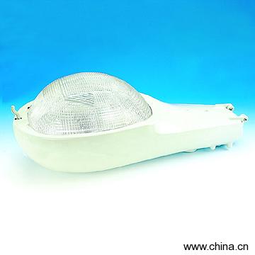 Roadway Light Fixture