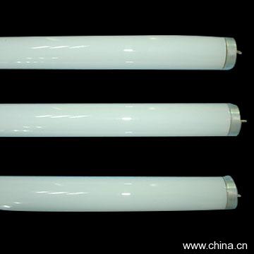 T10 Fluorescent Lamp