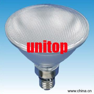 LED Par Lamp (UT-PAR38)