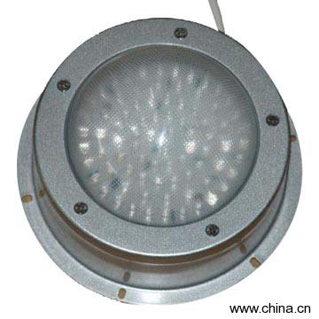 LED Submersible Light