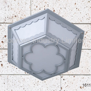 residential ceiling light/lamp (SS1611)