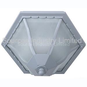 residential ceiling lamp/light (SS1612L)