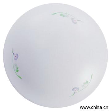 Ceiling Lamp