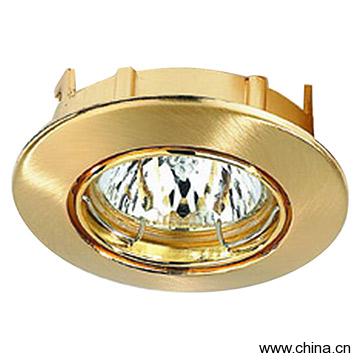 Ceiling Light