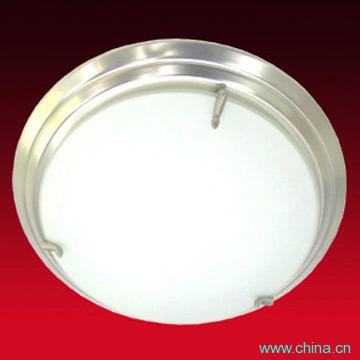 Ceiling Mount