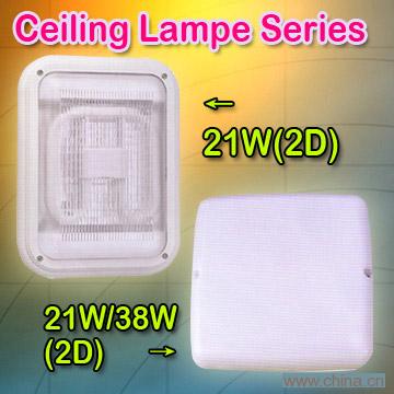 Ceiling Lamps