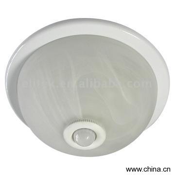 Ceiling Lights