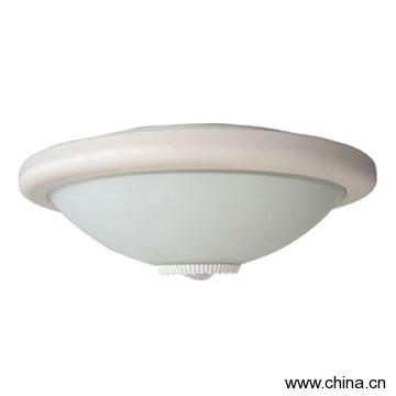 PIR Lamp