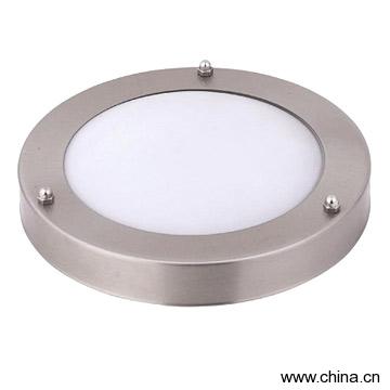 Stainless steel Ceiling Lamp