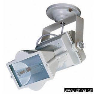 Ceiling Light