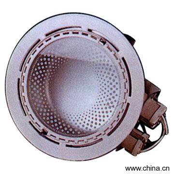 Indoor Recessed Downlight
