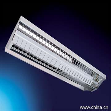 T1 In-Line Fluorescent Light