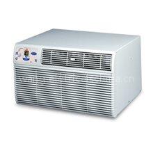 Carrier 52FC0123E 12,000/11,700 BTU Through-the-Wall Room Air Conditioner with Adjustable Fan Speeds