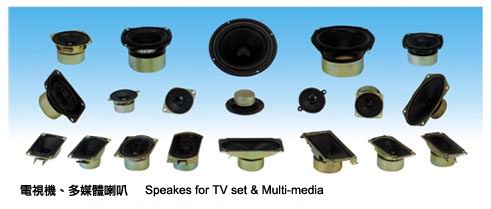 Hong Kong Speaker, Loudspeaker, Microphone