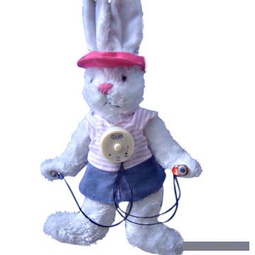 Talking Rabbit