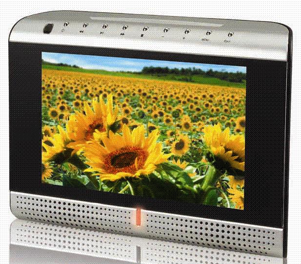 Taiwan Portable DVD Player