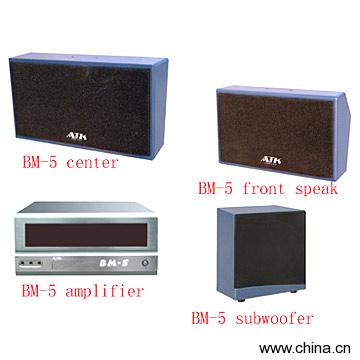 Professional Karaoke System