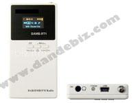 Portable DAB / T-DMB Radio