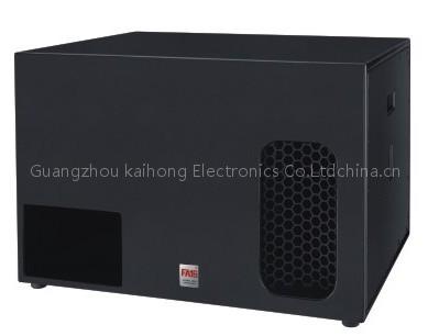 Professional Speaker—Subwoofer