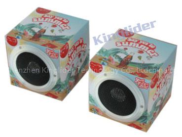 IS281 Paper Speaker