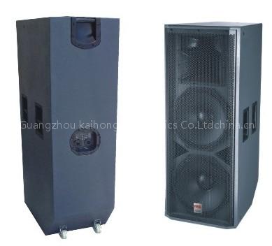 Professional speaker