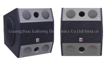 Professional Speaker—Karaoke Speaker