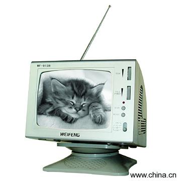 5.5" Black and White TV with Radio