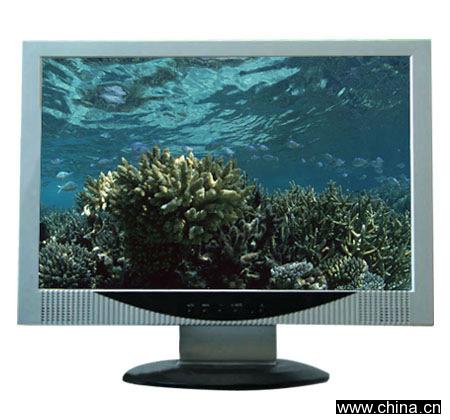 20" LCD TV