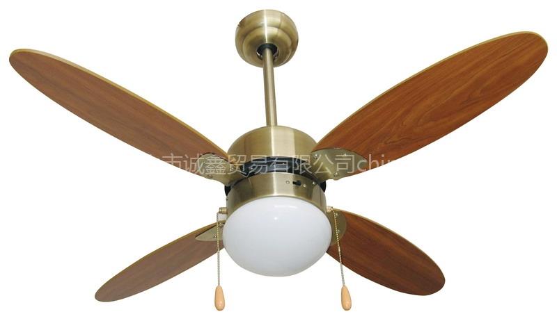 Electric Fan