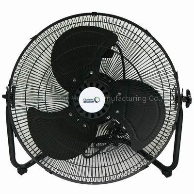 Fan (03)