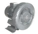ring blower