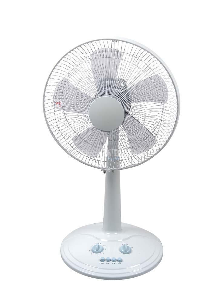 Electrical Fan