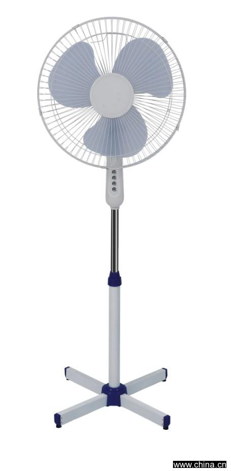 Home Fan