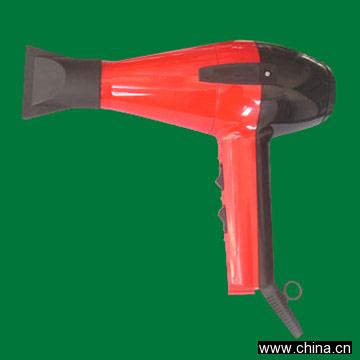 Professional Hair Dryer