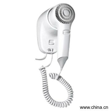 Skin and Hair Dryer