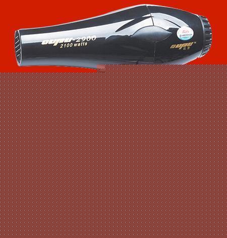 2900 Hair Dryer